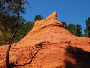 kaiyun官方入口登录-一日英超动态阿莫林自信发声转会话题升温，阿莫子林